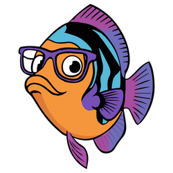 THE REEF GEEKS
